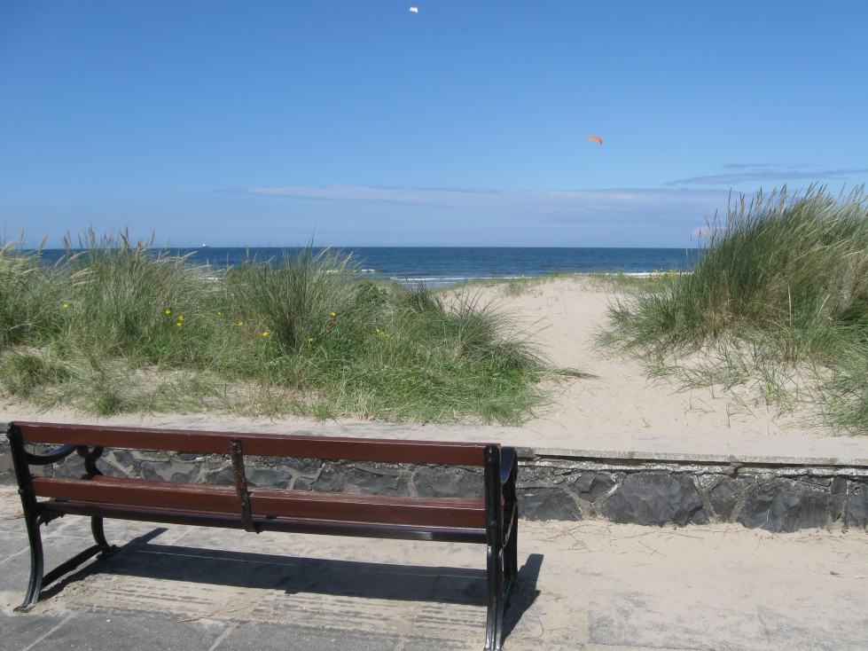 Seat_&_Access_Route_Thru_Dunes Whiterocks.jpg