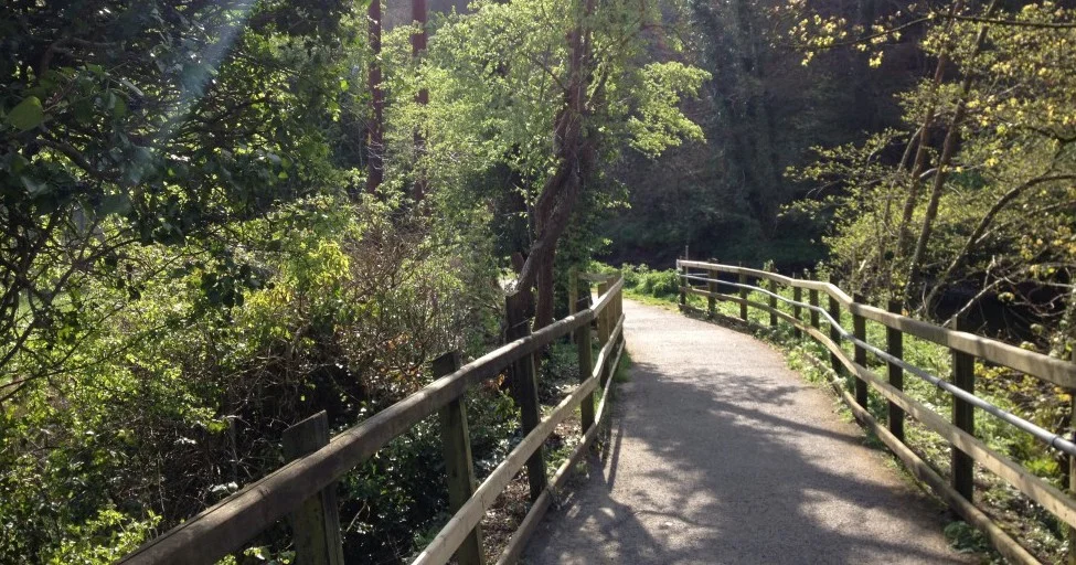 Towpath Bridge.jpg