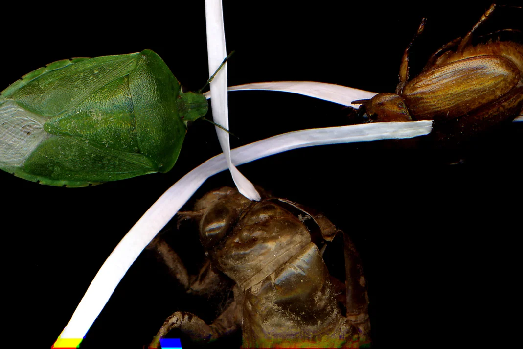 Meeting of the Minds.jpg