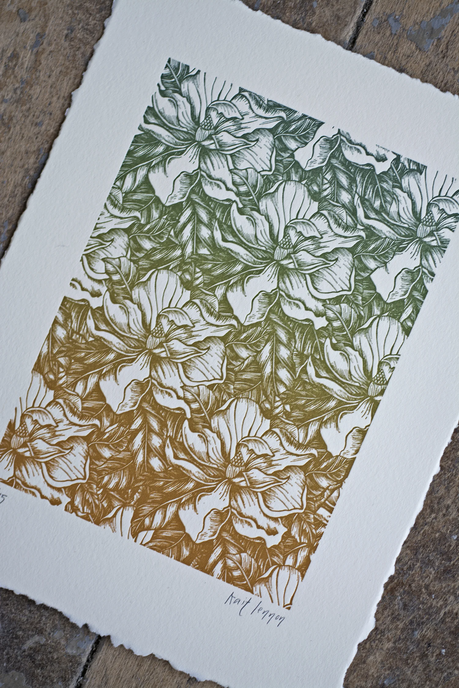 autumn_magnolia2.jpg