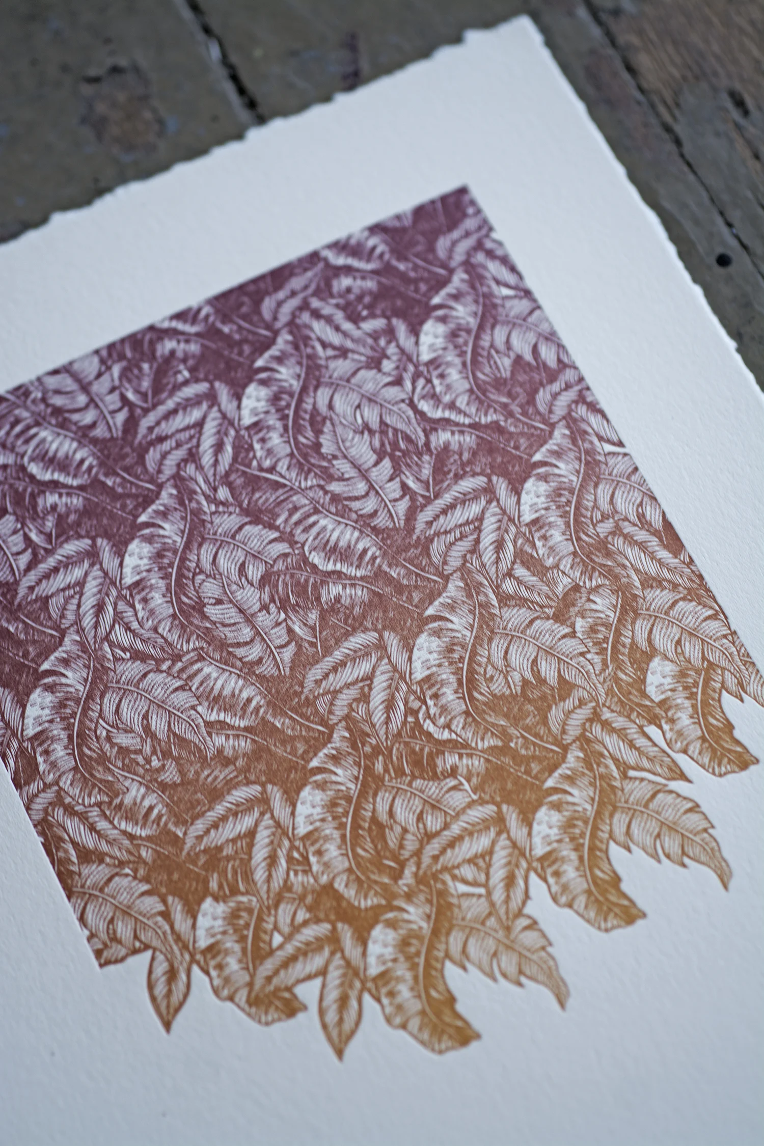 autumn_fern3.jpg