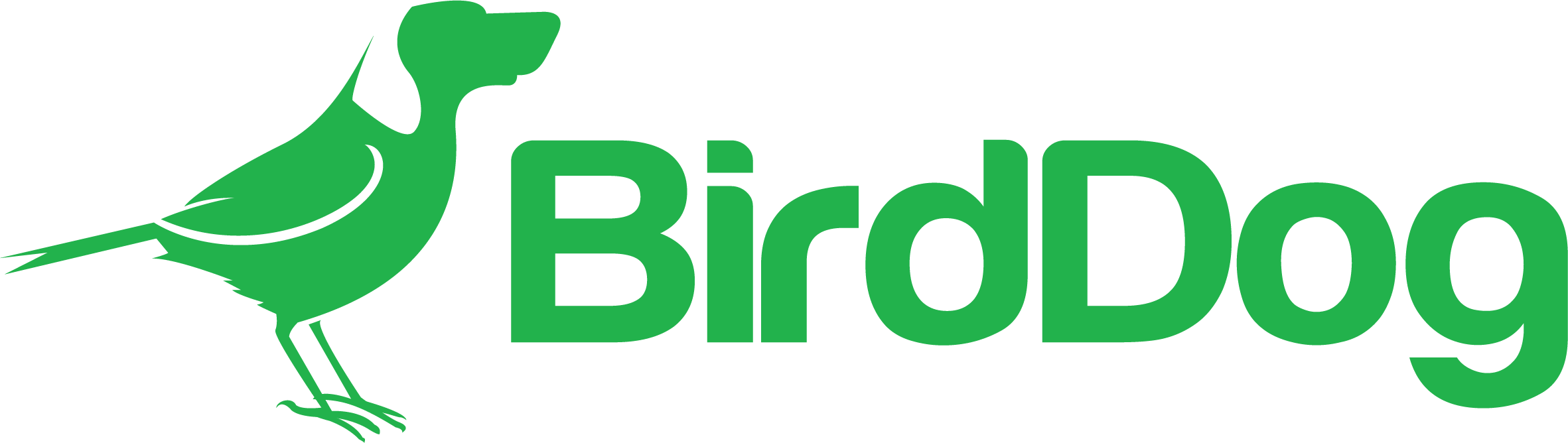 BirdDog-LOGO.png
