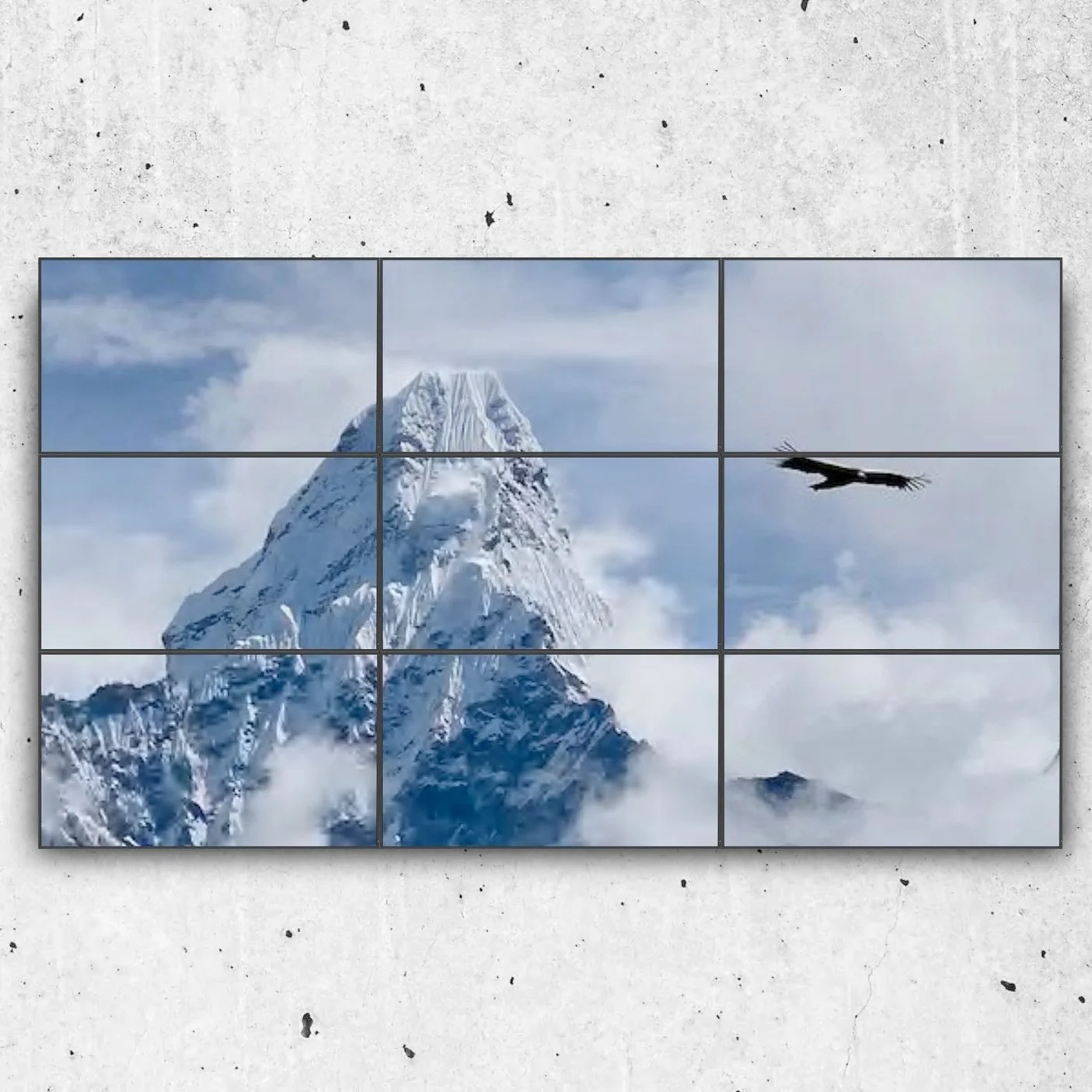 Tech Tuesday: LOFT DS2 Commercial Displays