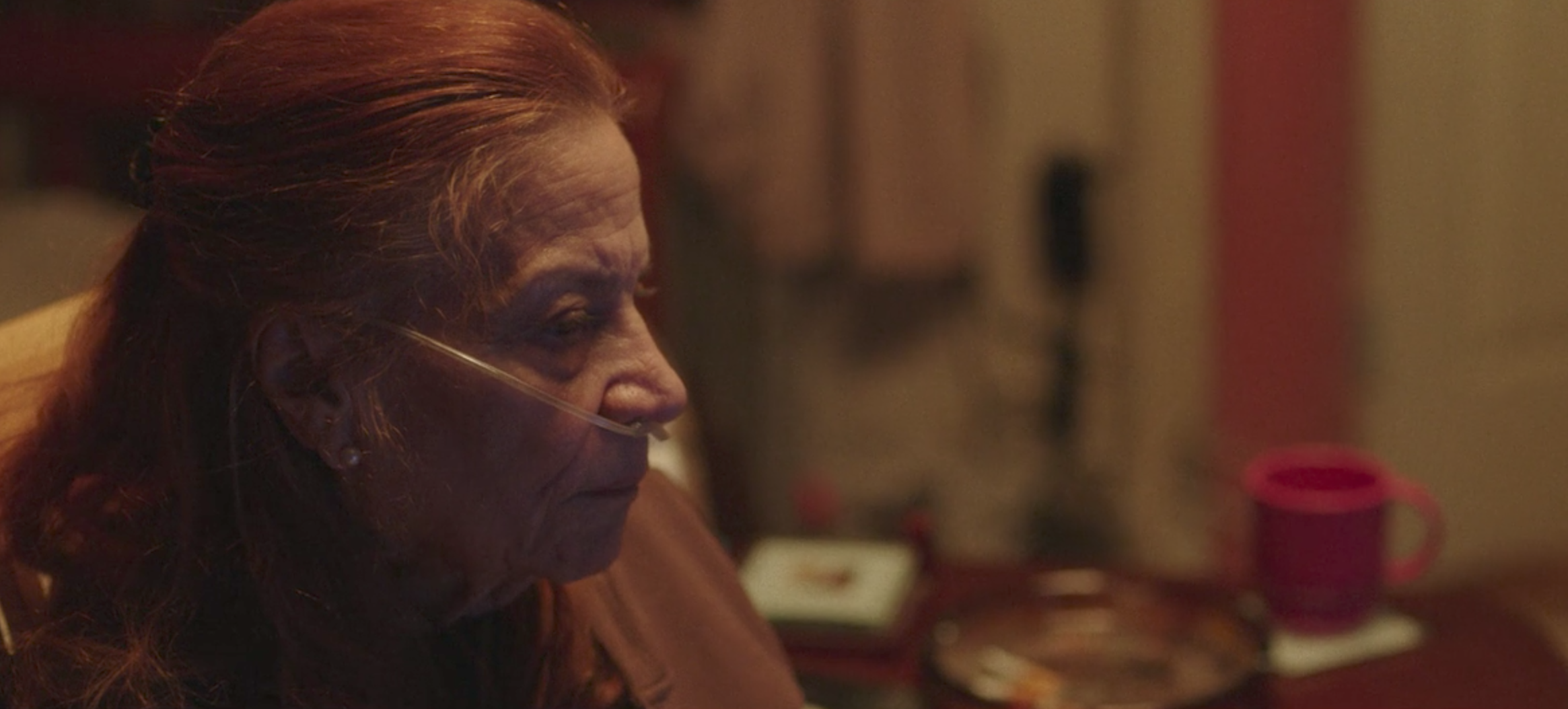 Screenshot 2017-10-23 13.45.35.png