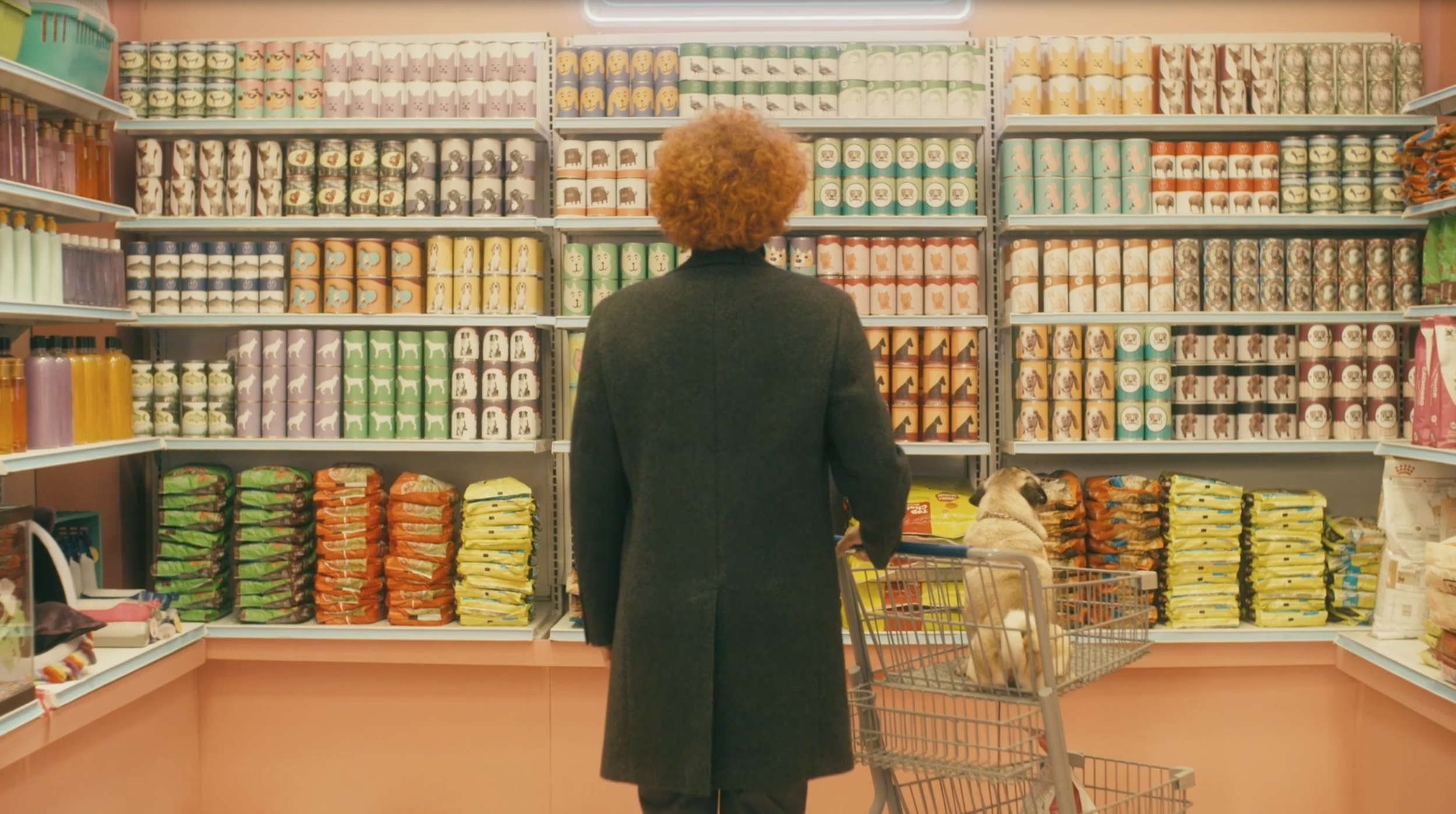 Screen Shot 2021-11-10 at 11.24.19 AM.png