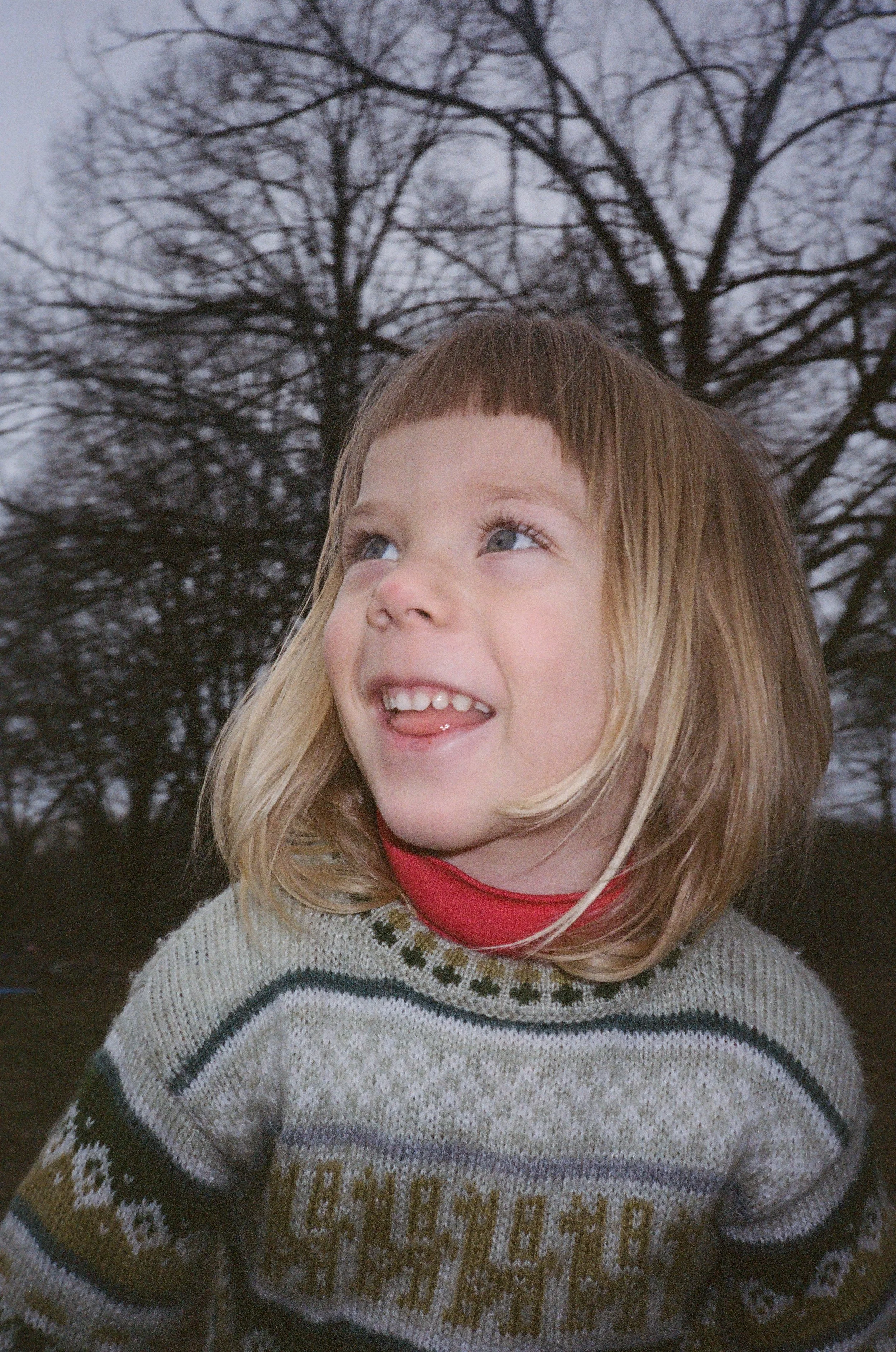 85450036.JPG