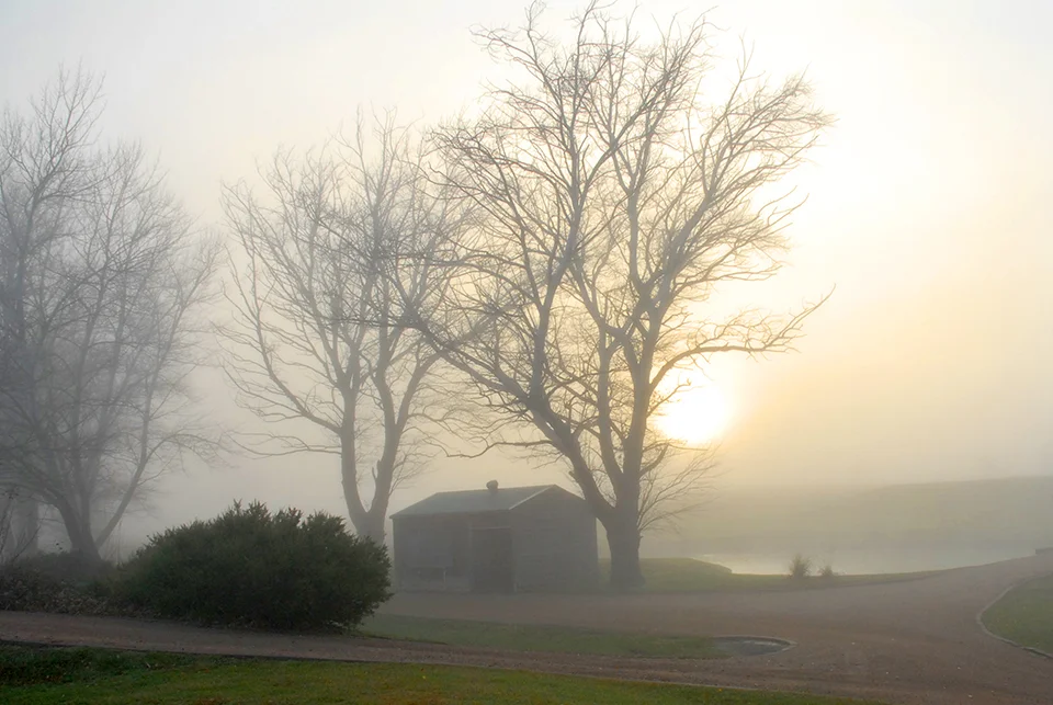 misty-morn-sh_low.jpg