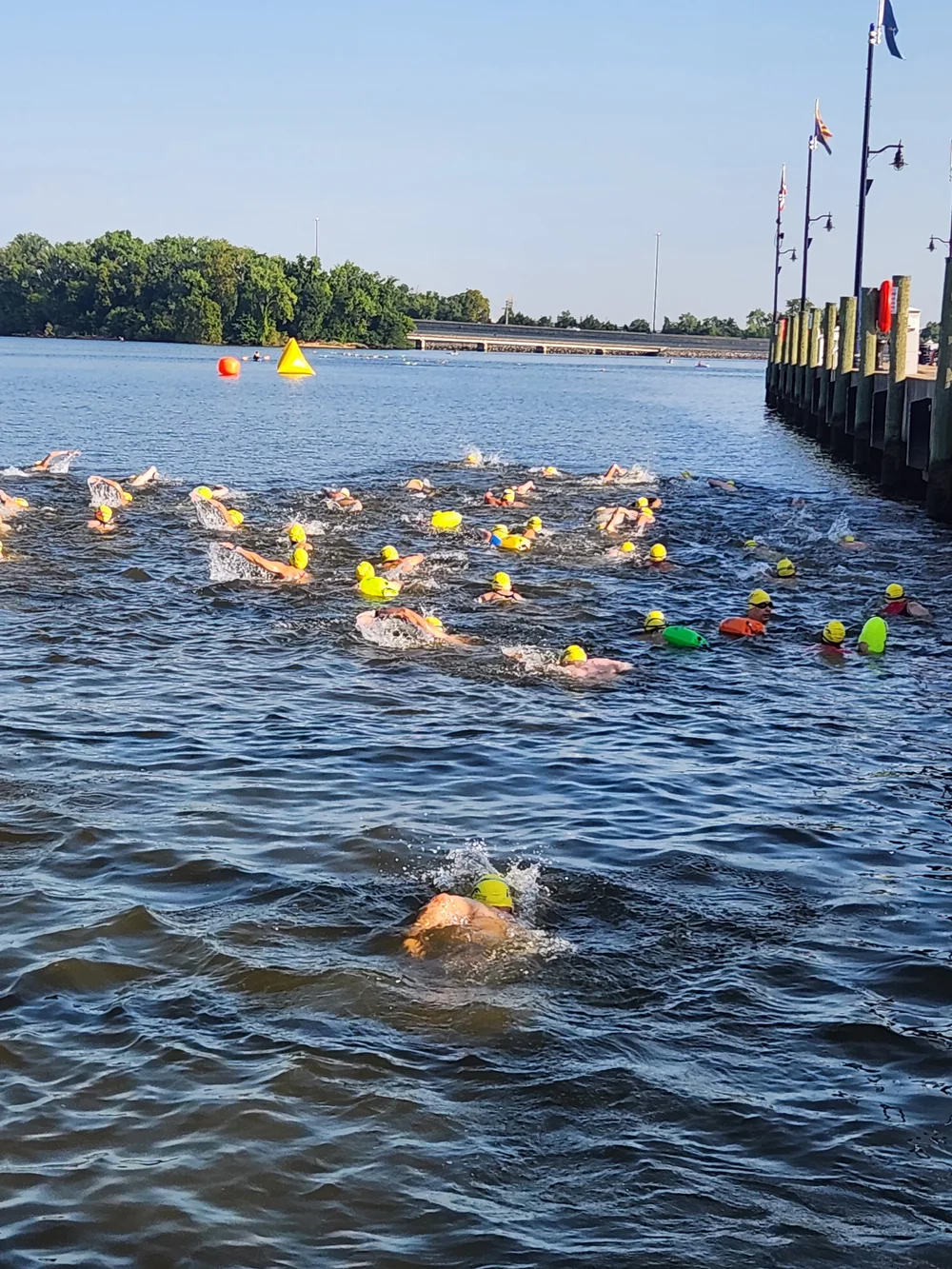 Washington's Crossing Swim Across the Potomac — WaveOne Open Water