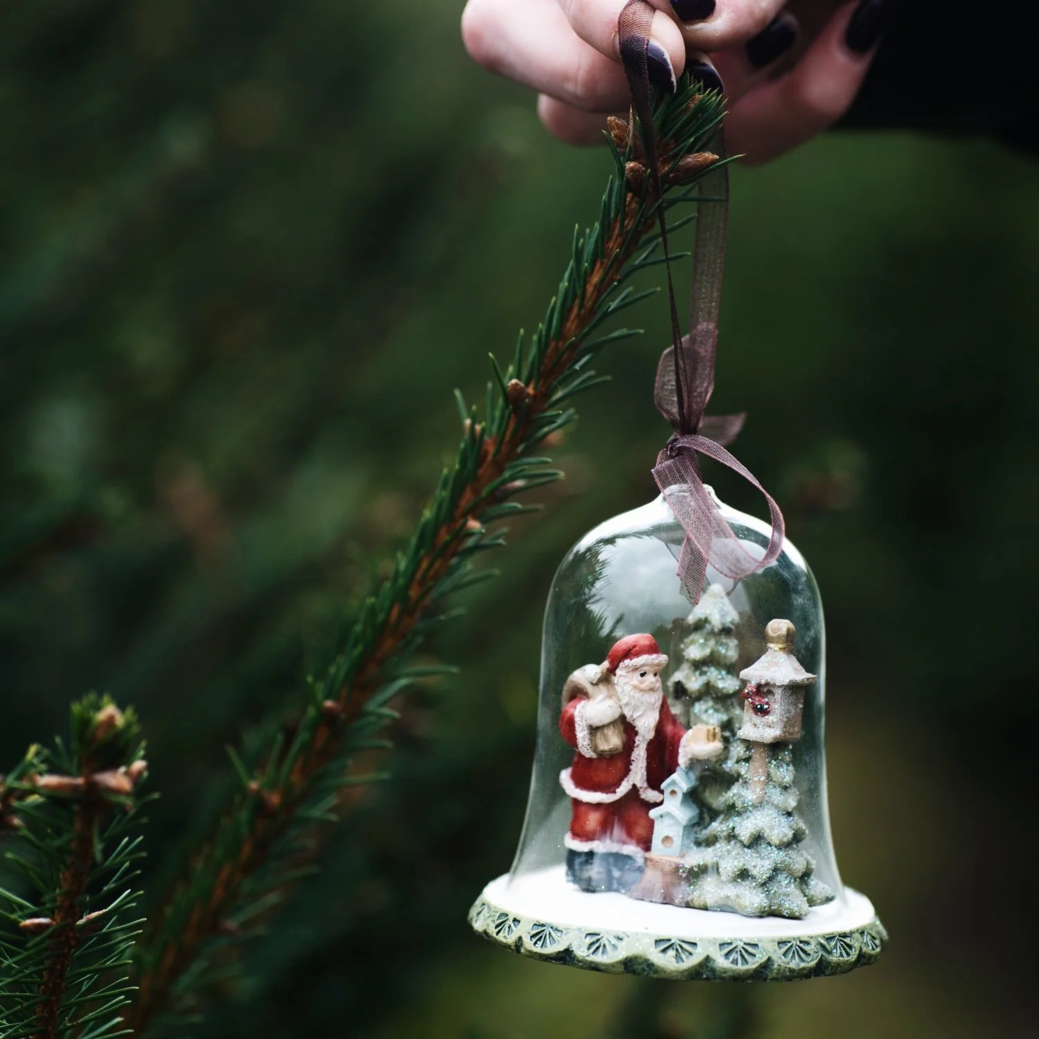 christmas-2017-6.jpg