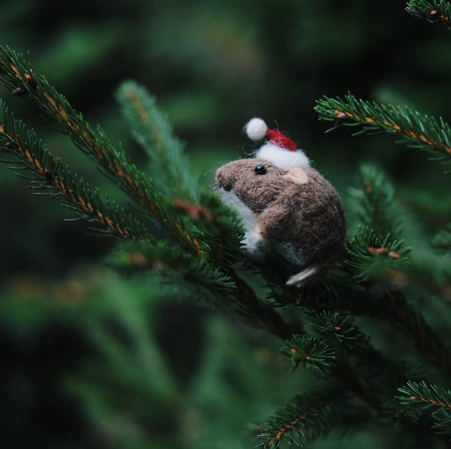 christmas-2017-16.jpg