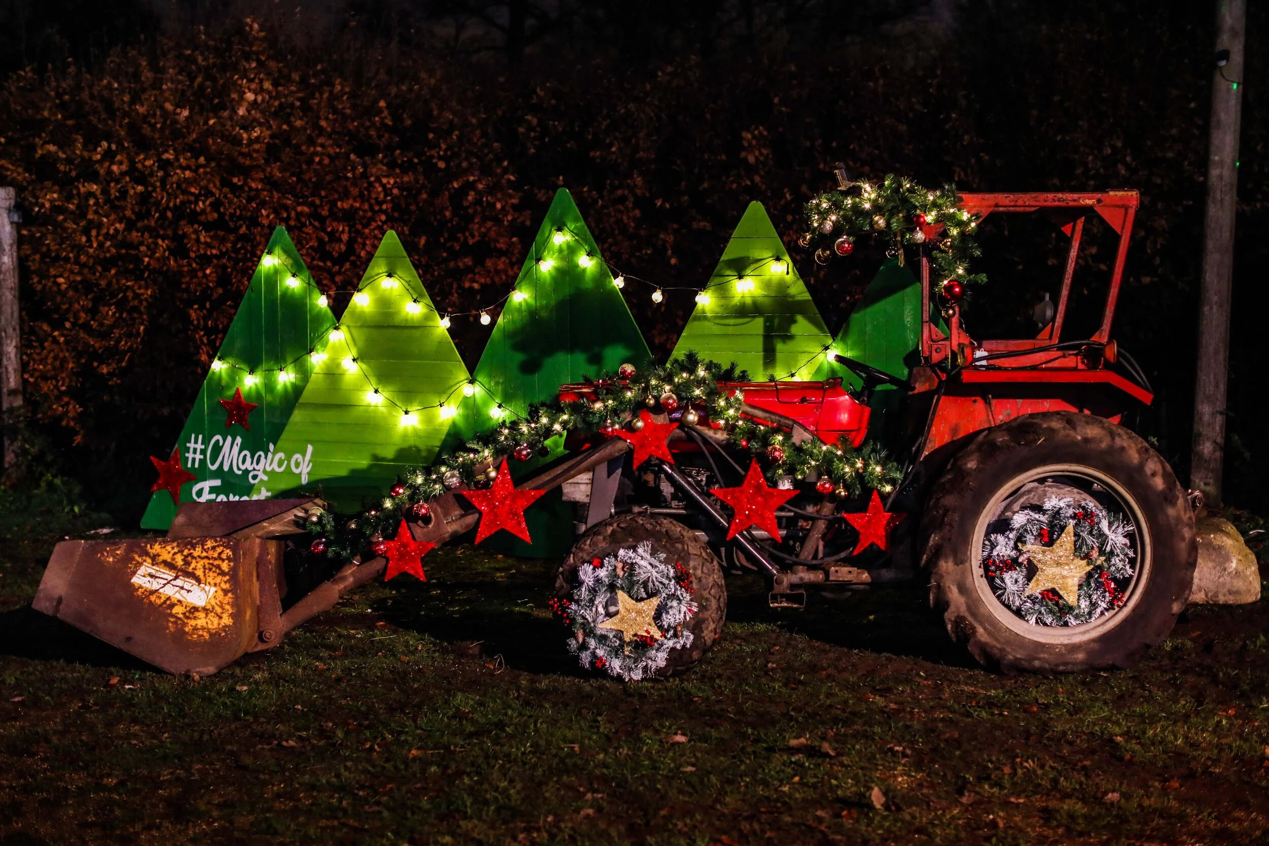 MagicOfForesters_NickHopperPhotography_-7158 (1).jpg