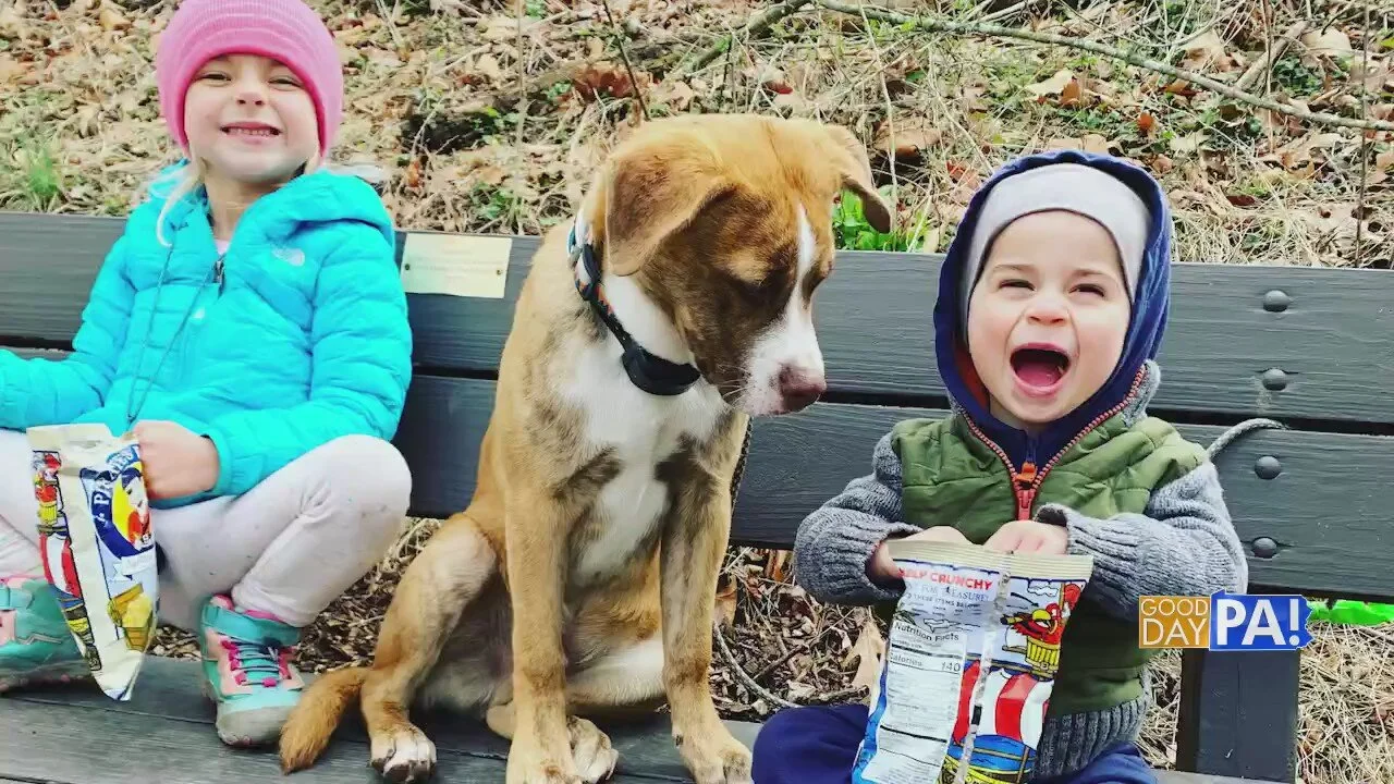 Paws for Pets Program with Weis Markets