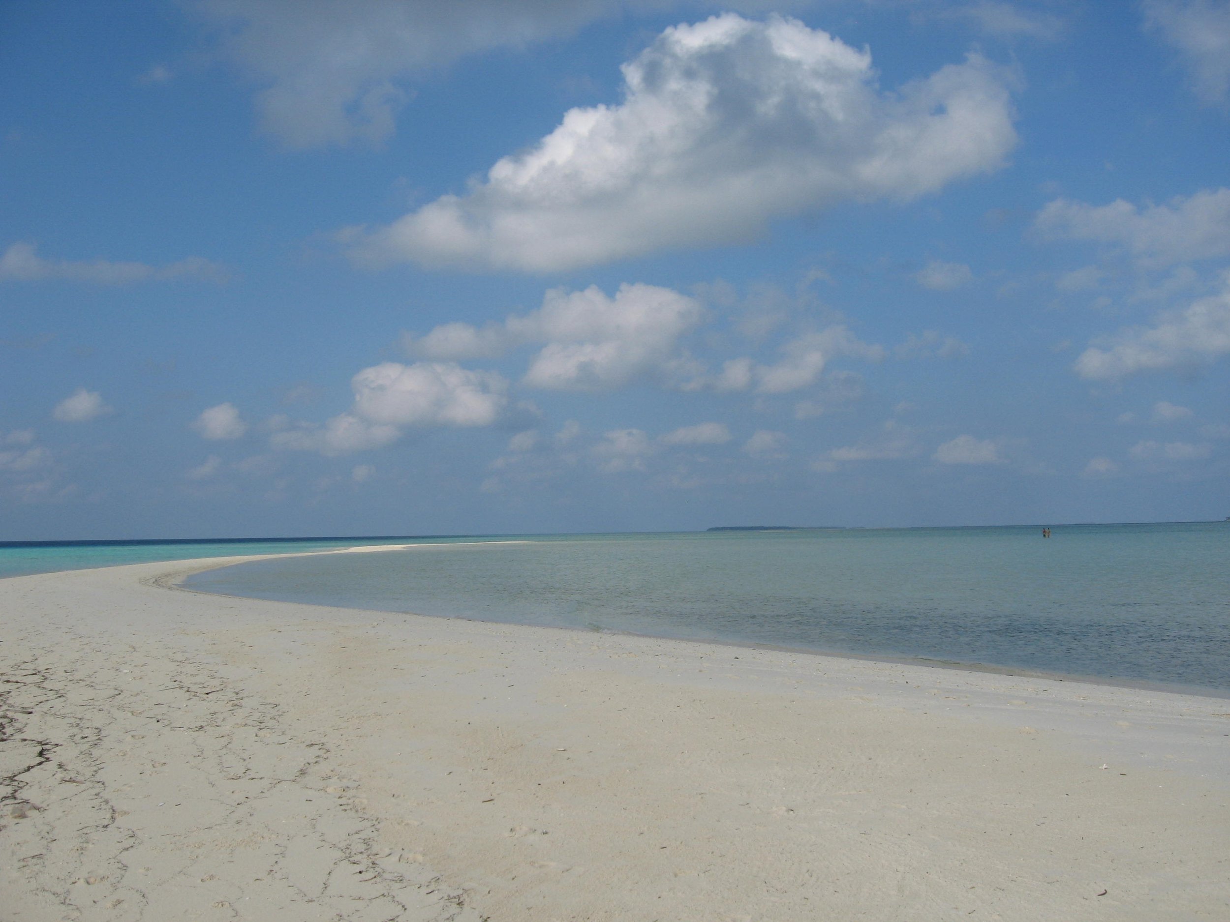 Where the sand meets the sea