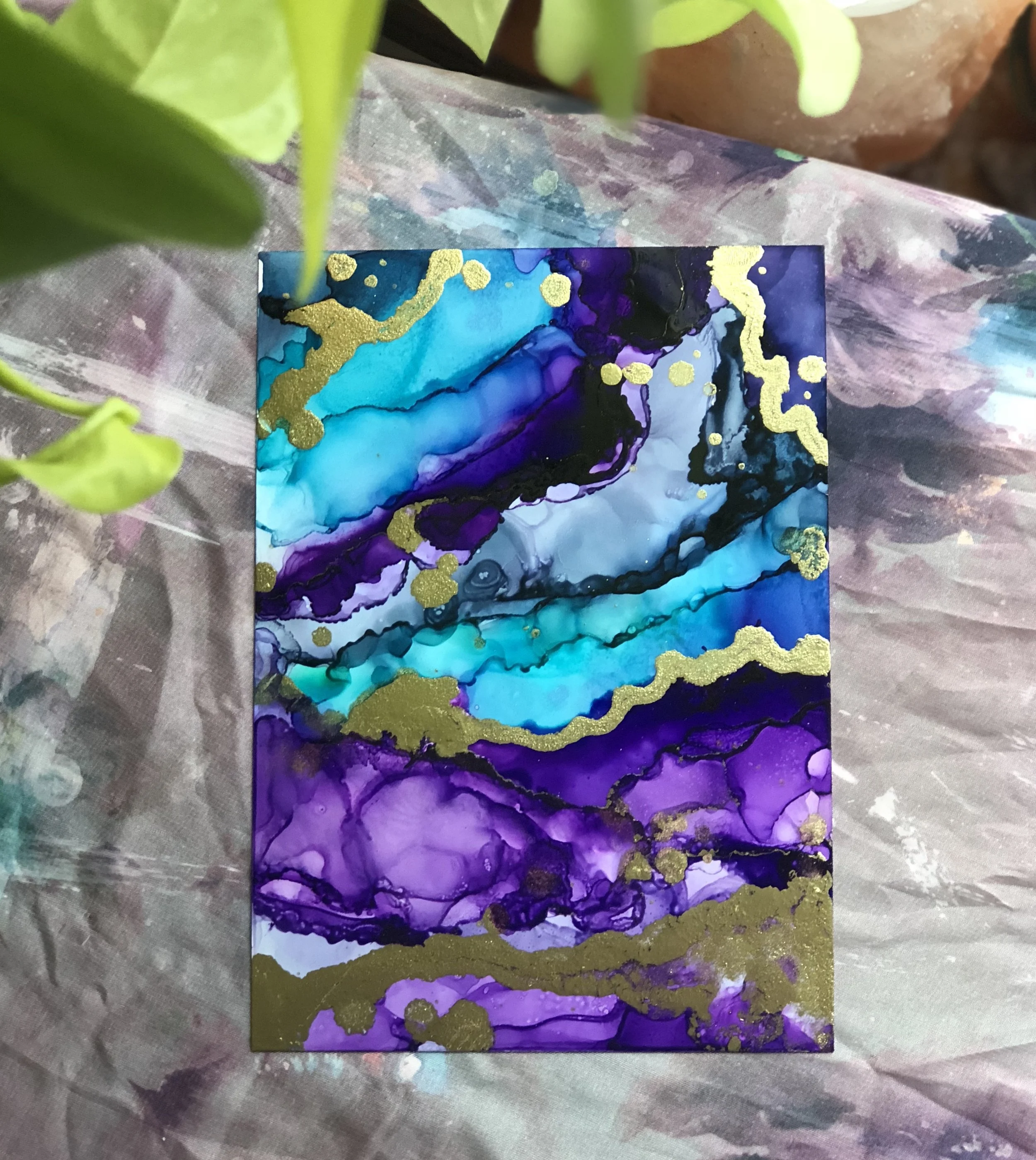5C26493D-0FB6-4ABF-9EBD-7D465D358A7C.jpeg