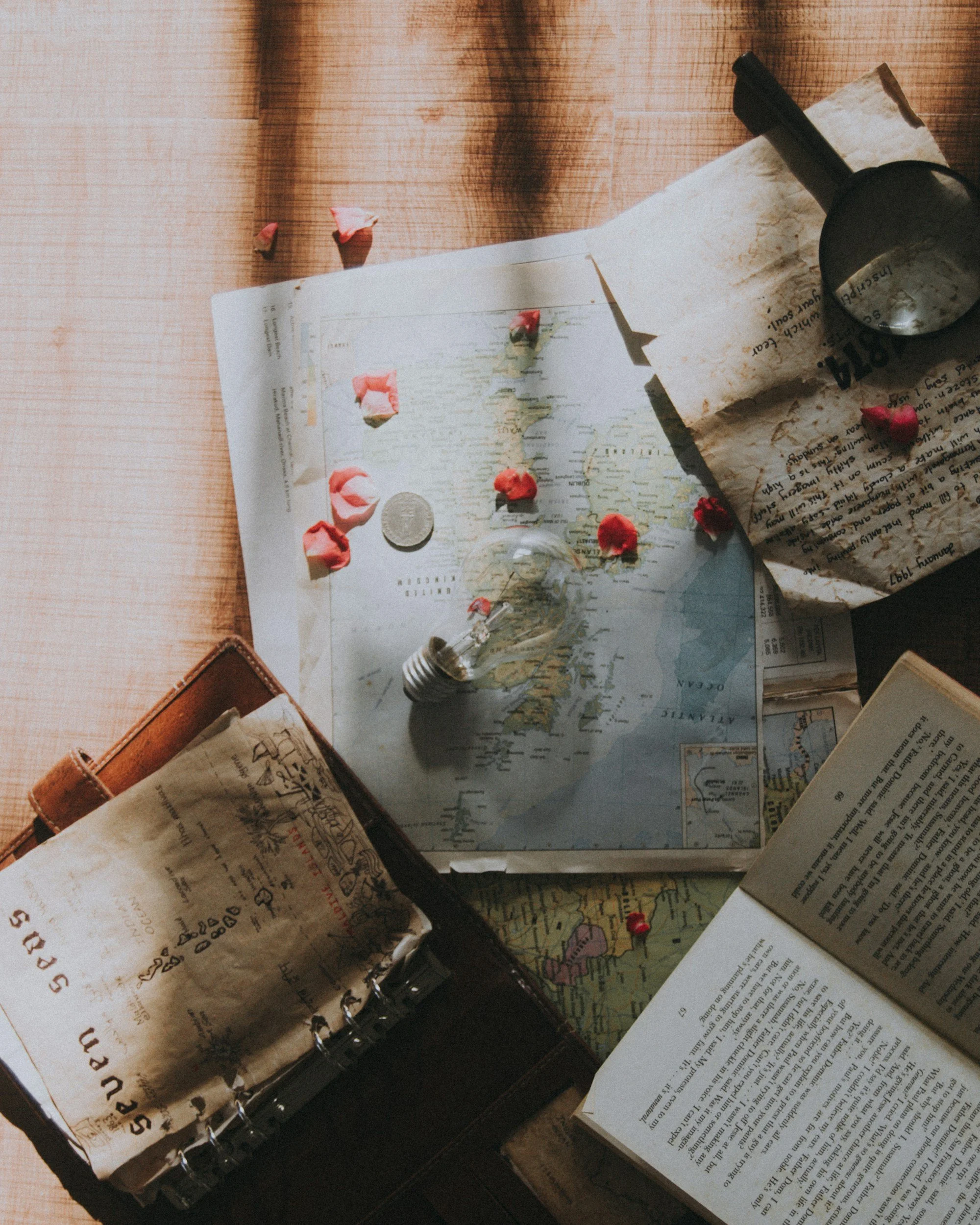 unsplash-image-Ri8t9fJ3WLY.jpg