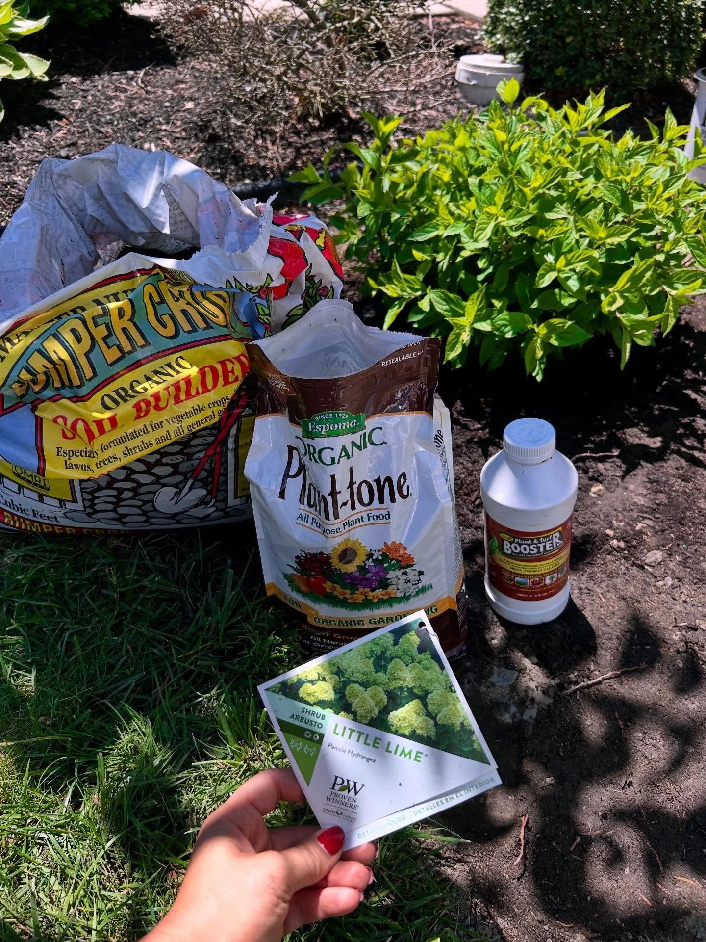 Winning lineup for spring plantings 🏆🌱

Stay tuned for a full video on how to give your new plants the best possible start with @ptbooster. We call it &ldquo;insurance for your plants&rdquo;&mdash;and we&rsquo;ll show you why.

Featuring:
&bull; Li