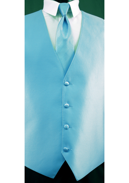 48IBLU_3-446x629.png