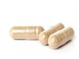 Organic Baobab (Adansonia digitata) 500mg Vegan Capsules