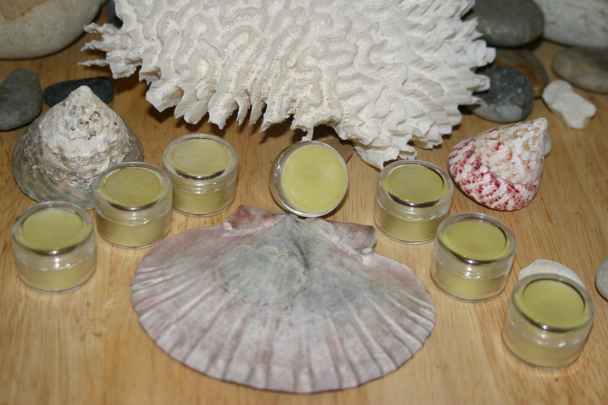 Organic Hemp Lip Balm