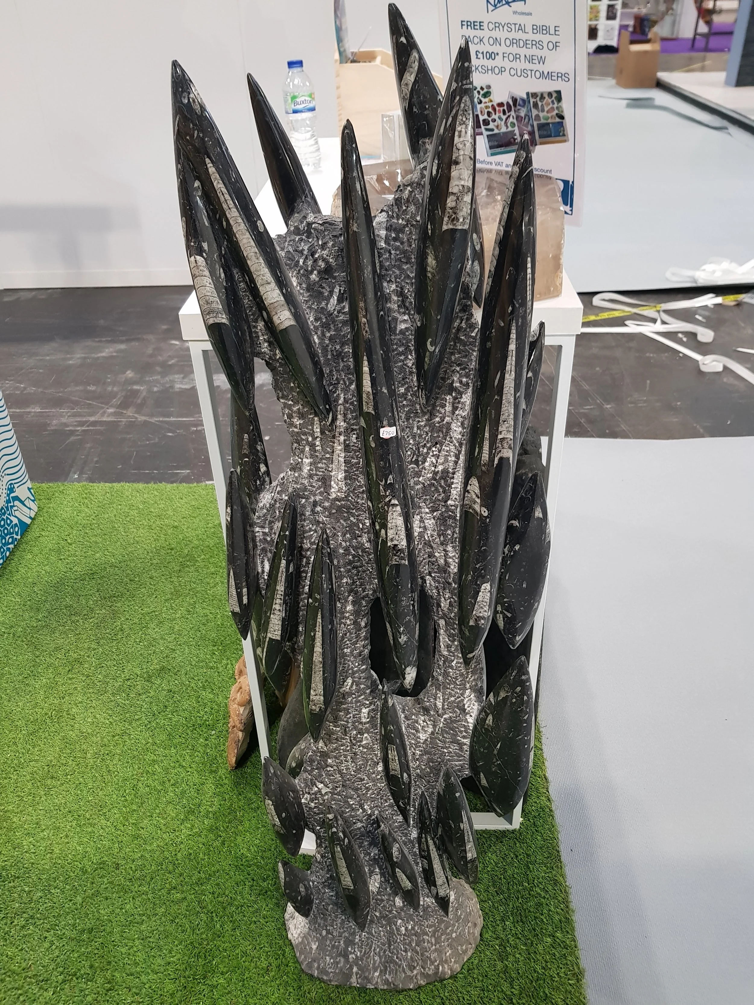 Orthoceras Towers and Bowls