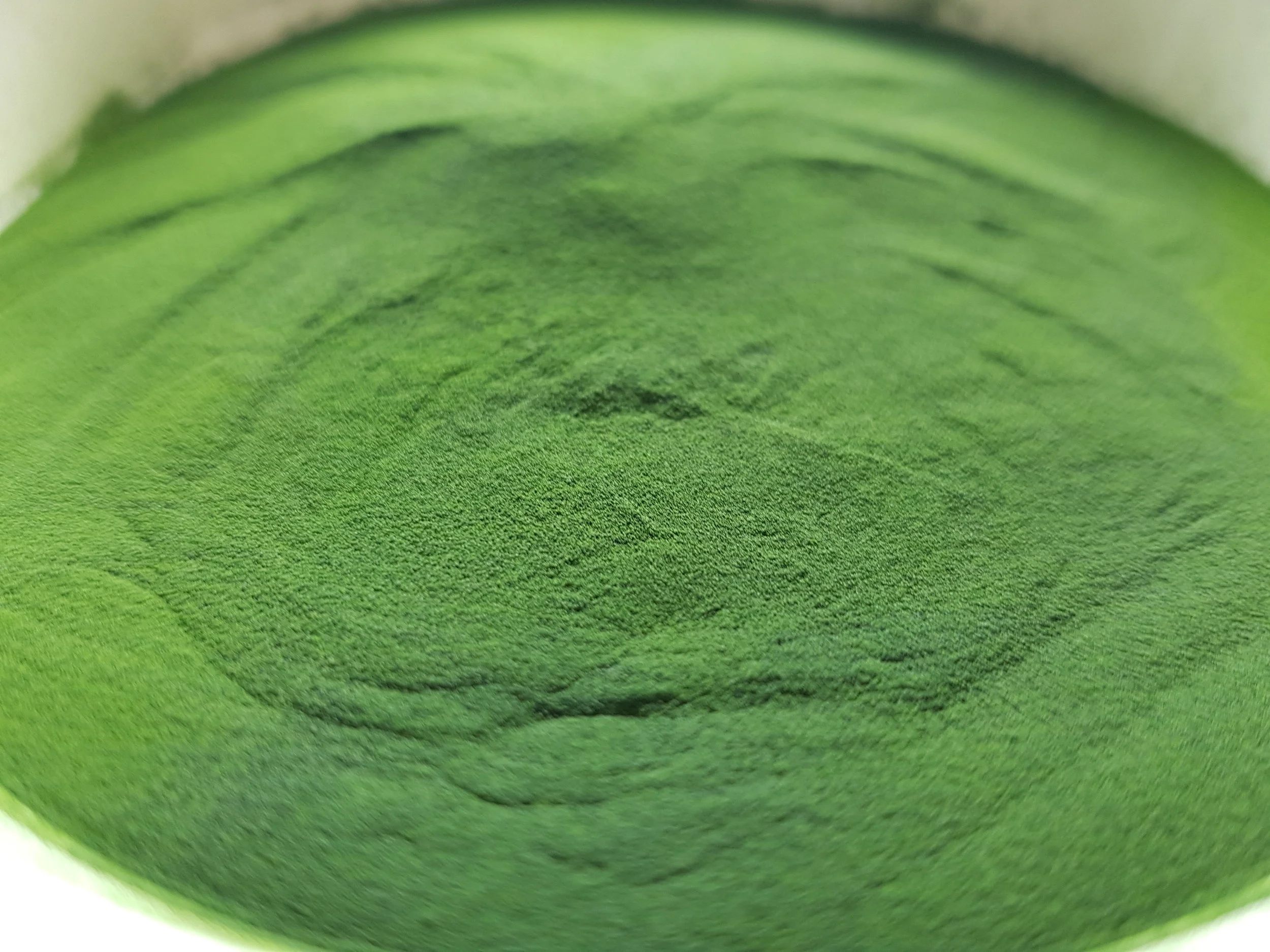 Organic Chlorella 600mg Vegan Capsules