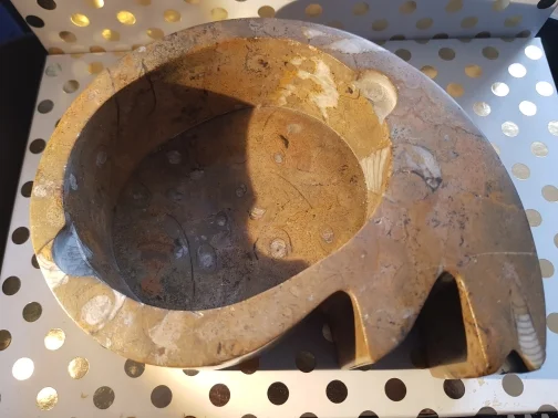Goniatite Bowl (Large)