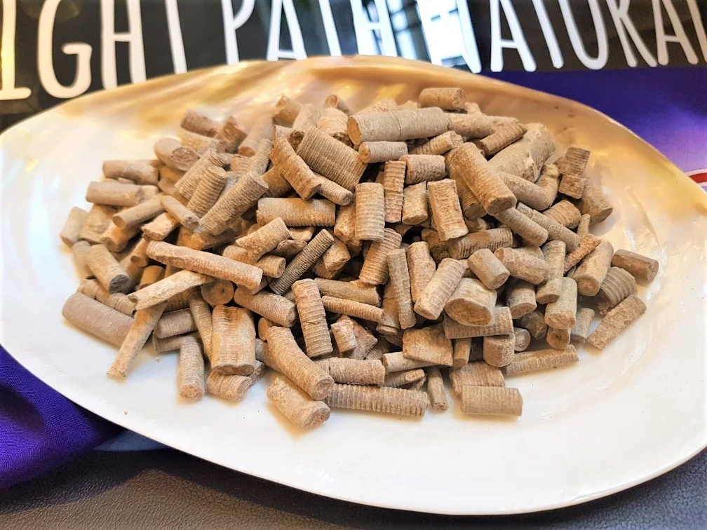 crinoidal strem fossils.jpg