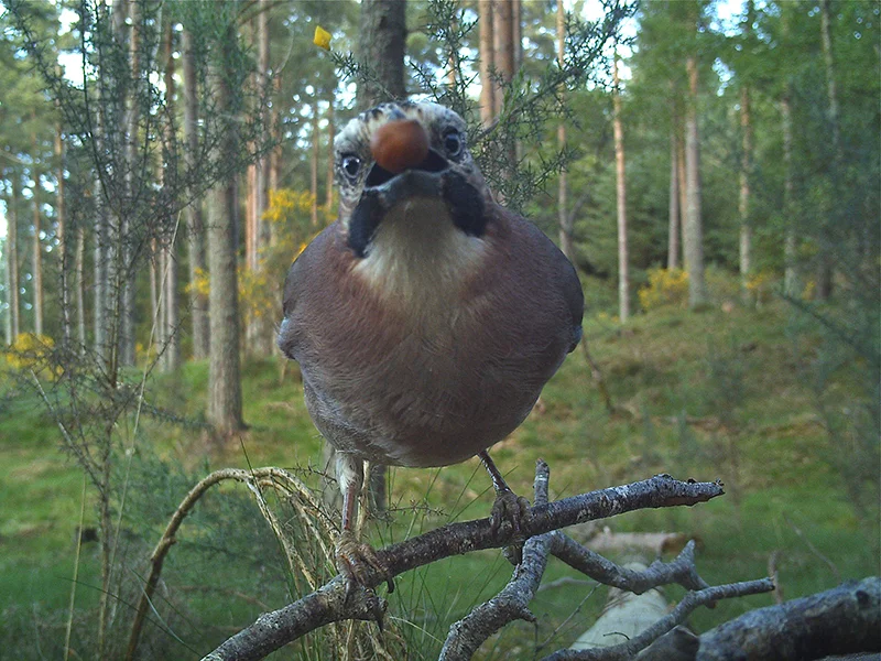 naturementoring3.jpg
