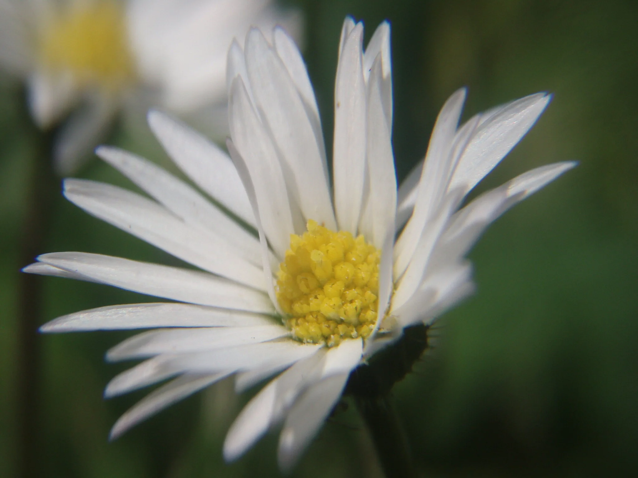 Appreciating the Ordinary