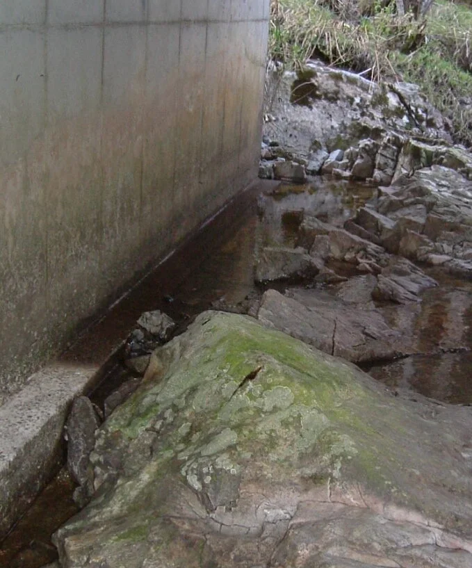 Spraint under a bridge. Note the build-up of algae on the rock.