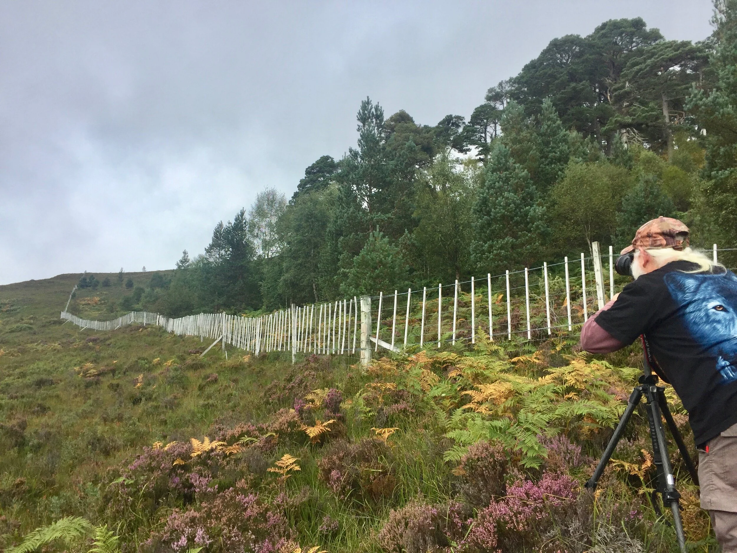 Thirty years of forest recovery