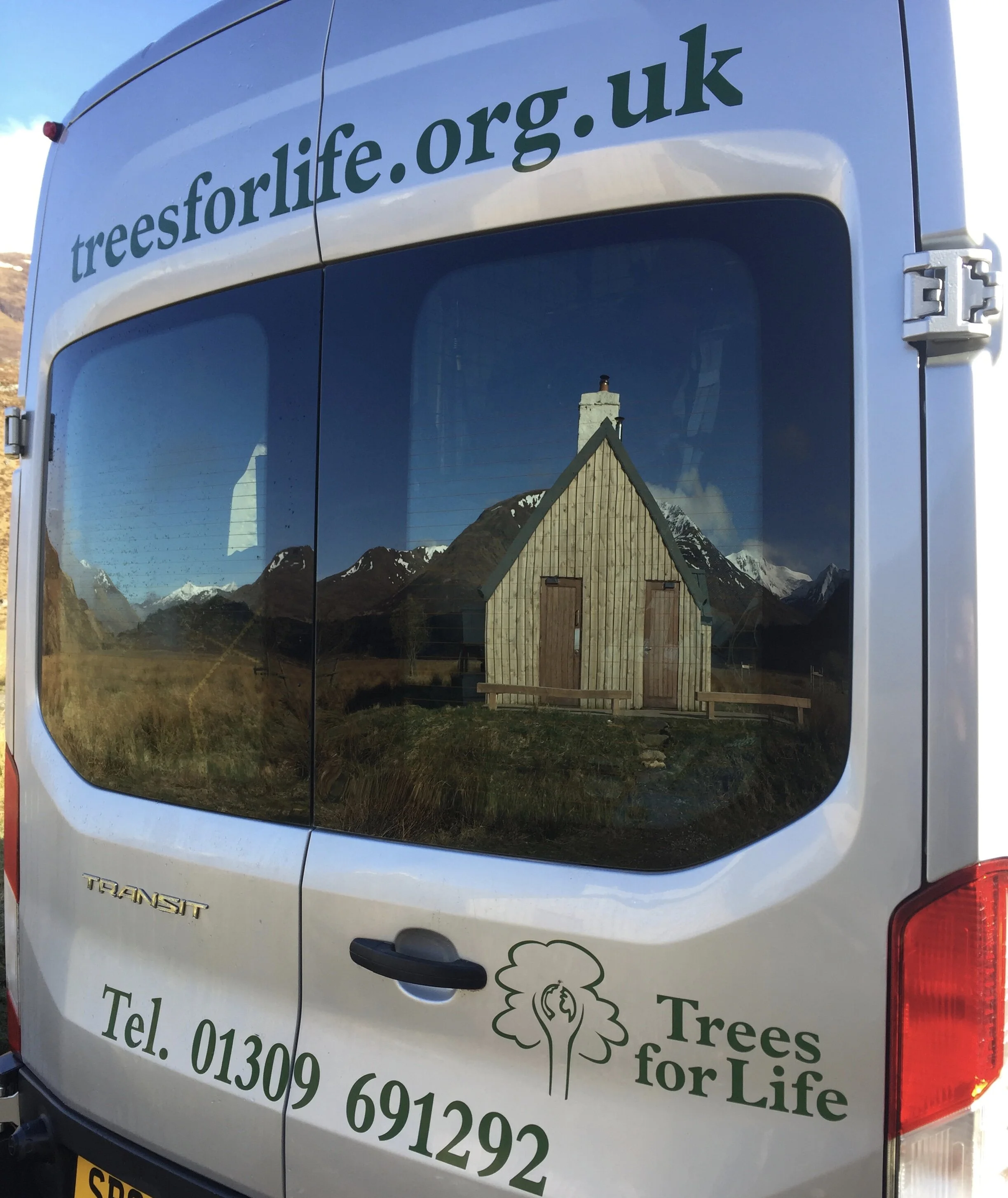 This Stuff Works – Celebrating 85 Trees for Life Conservation Weeks