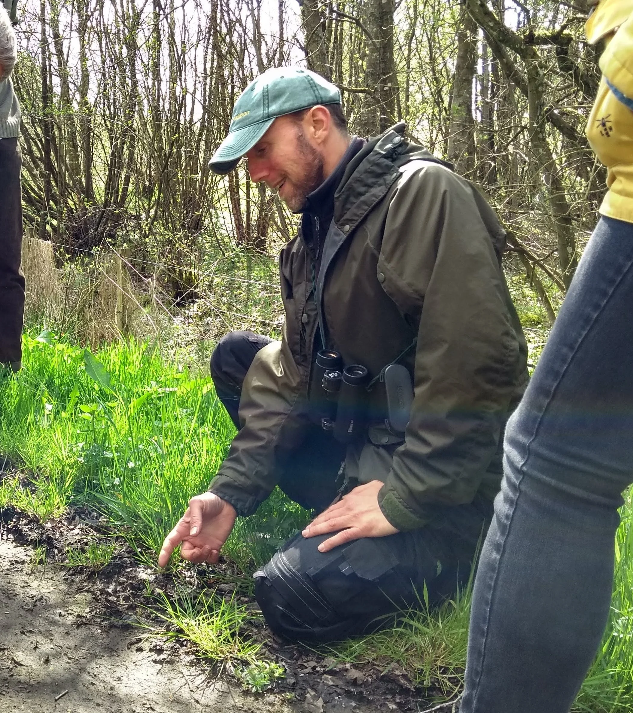 Nature Q & A with Dan Puplett - online