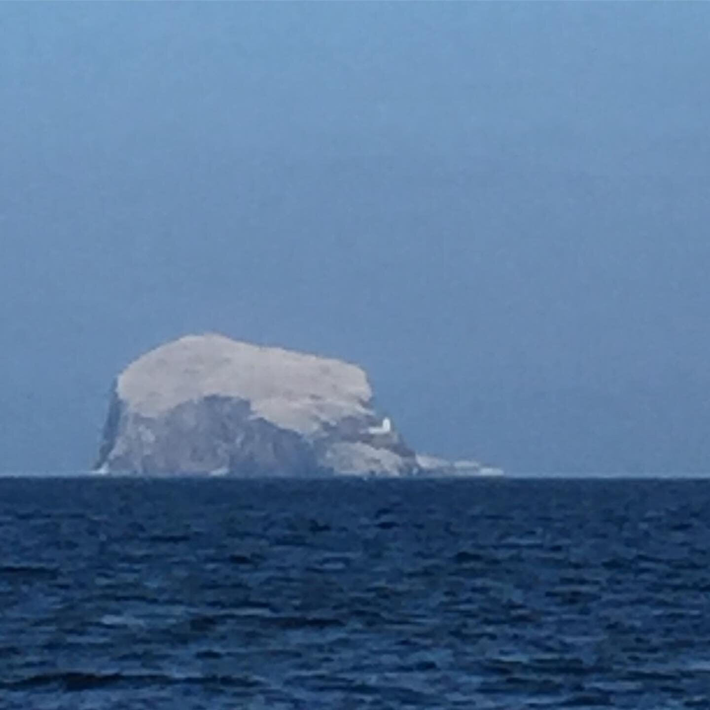 Gannet-tropolis. This 100m chunk of volcanic rock fills me with awe. Bass Rock has the largest gannet colony in the world. It&rsquo;s white because it&rsquo;s covered in gannets (150,000+) and their guano. 
A stunning backdrop for another Seashore Na