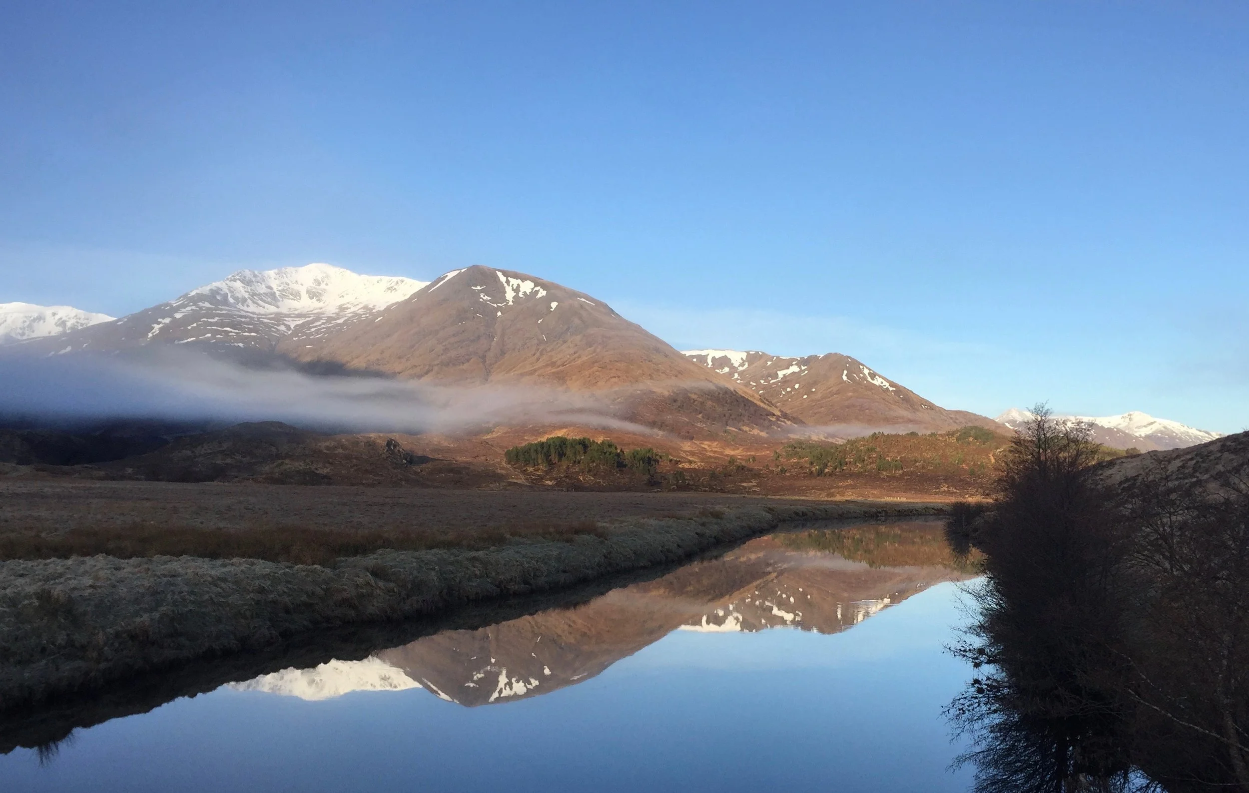 Rewilding - an essential climate solution