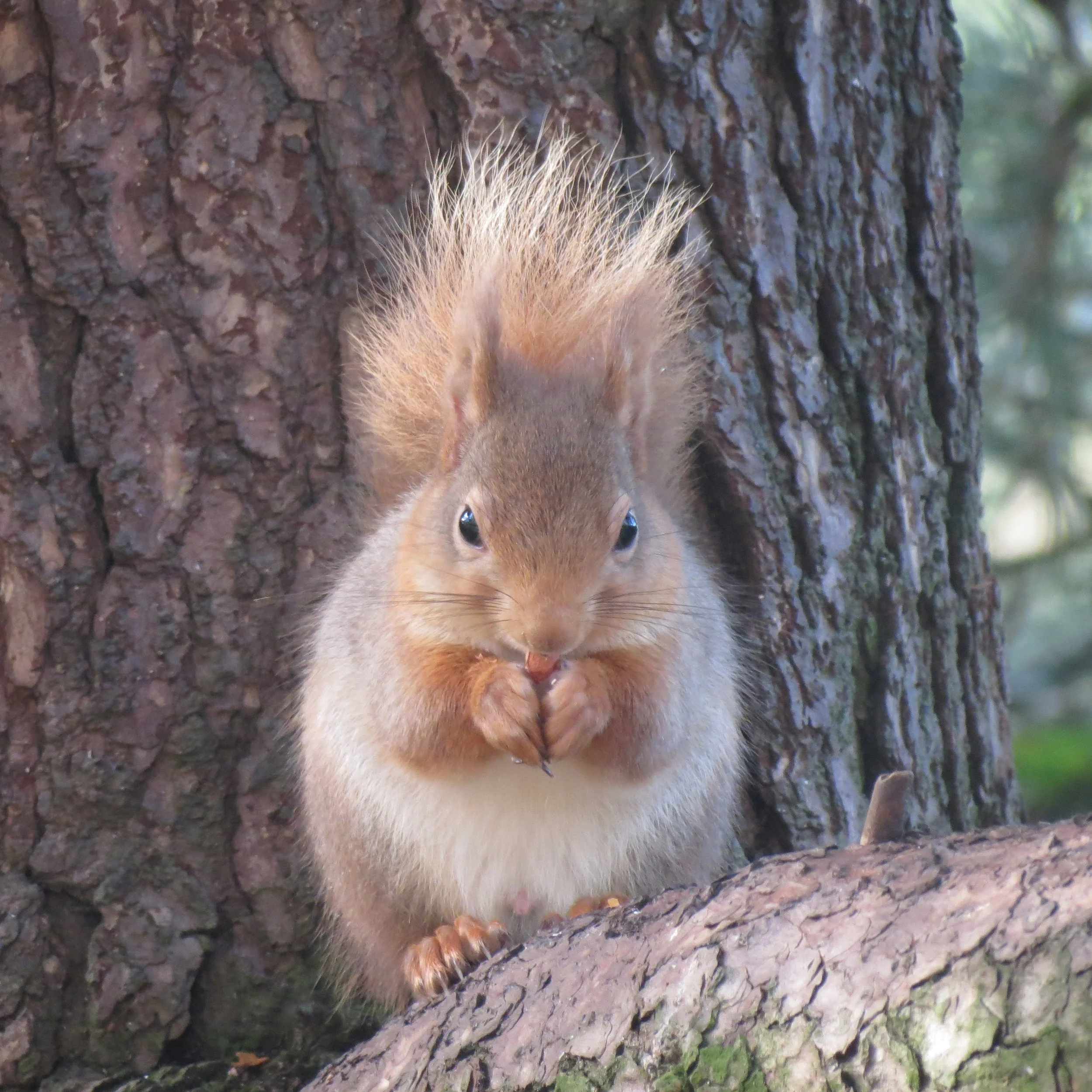 Moray Loves Nature festival