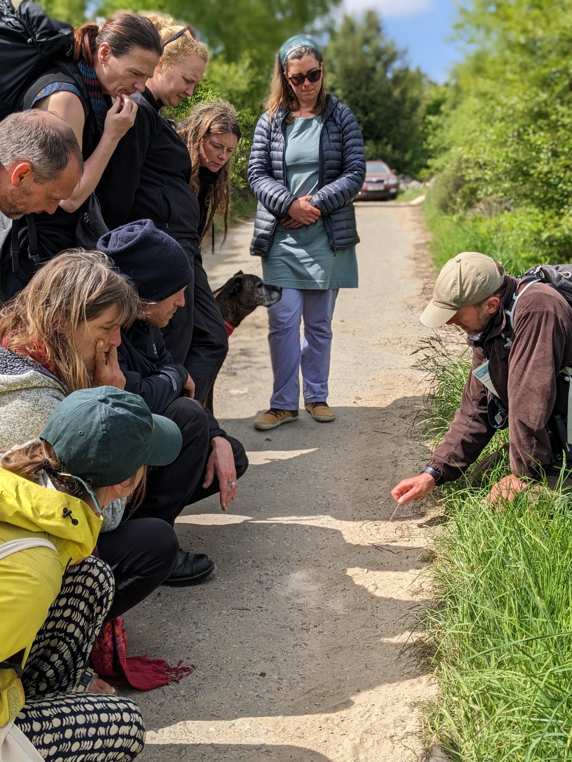 Wildlife Tracking - 3 day course