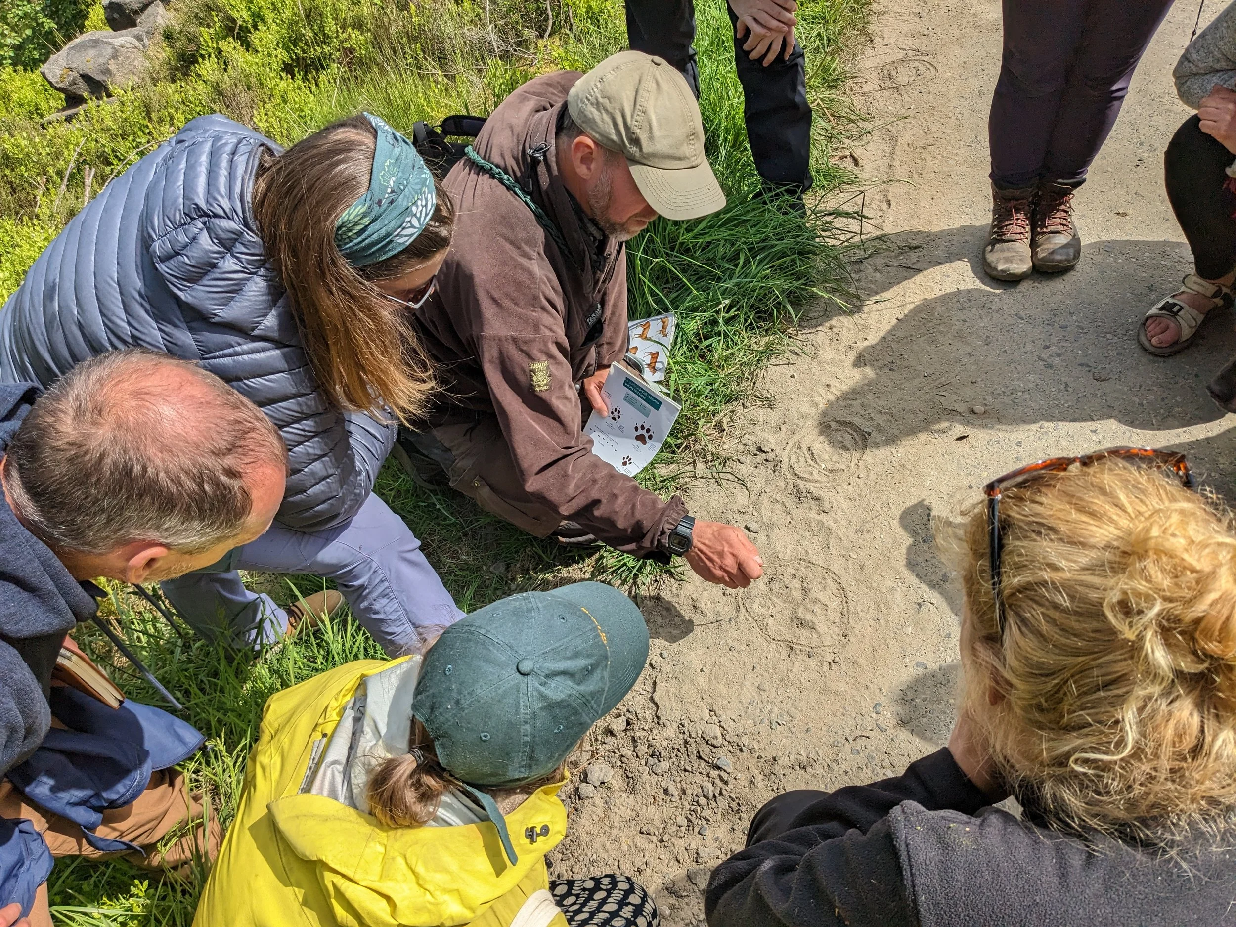 Clues in the Wild: Natural Navigation and Wildlife Signs - Moray Walking & Outdoor Festival