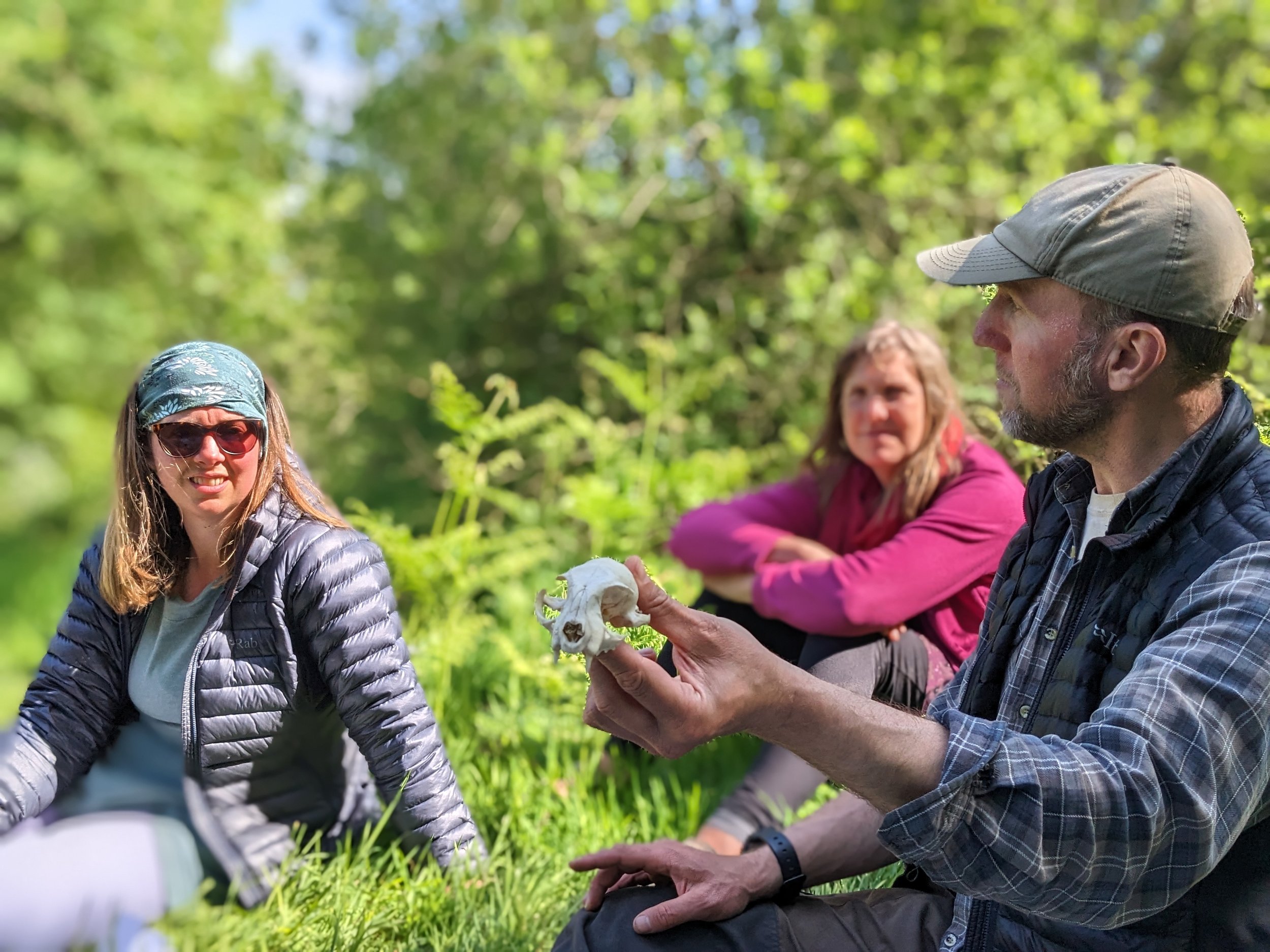Foraging and Wildlife Tracking