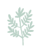 ThoughtfulGesture_LeafOnly_LightGreen.png