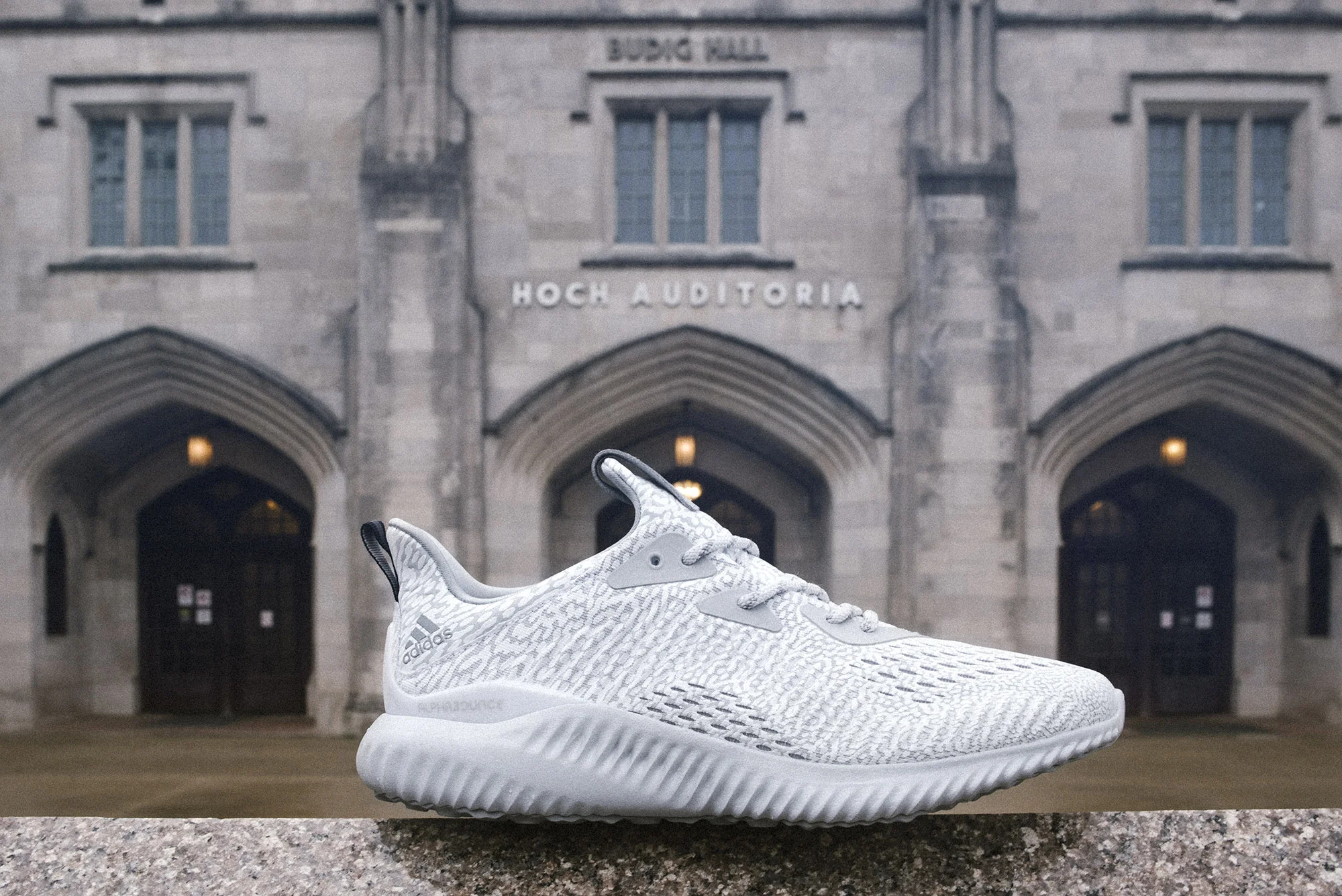 travis_young_austin_walsh_studio_adidas_alphabounce_ku_04.jpg