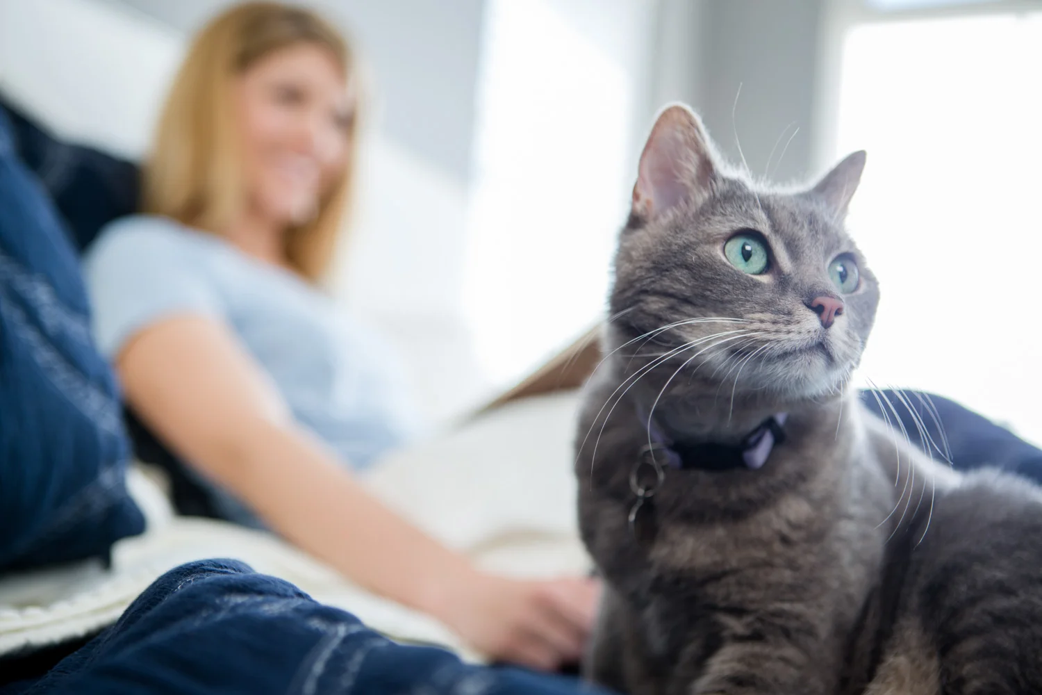 AWStudio_Elanco_pets_018.jpg