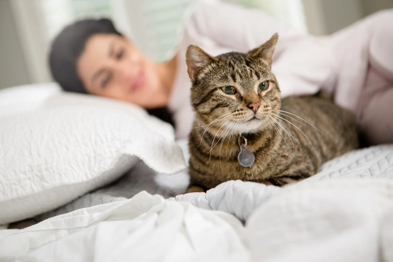 AWStudio_Elanco_pets_022.jpg