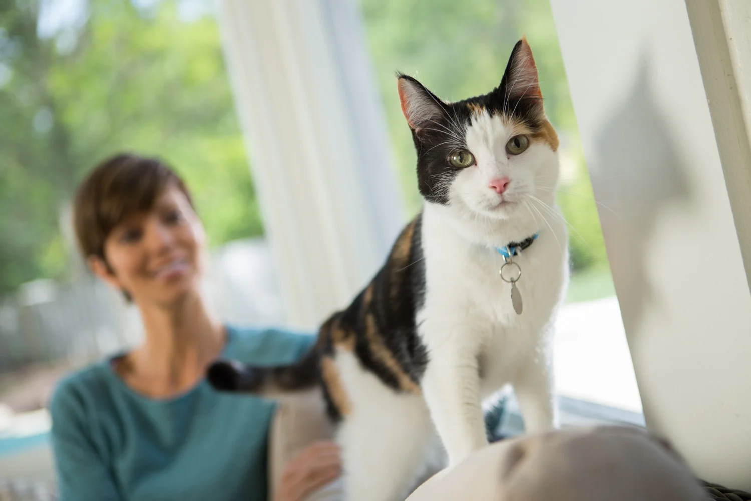 AWStudio_Elanco_pets_039.jpg