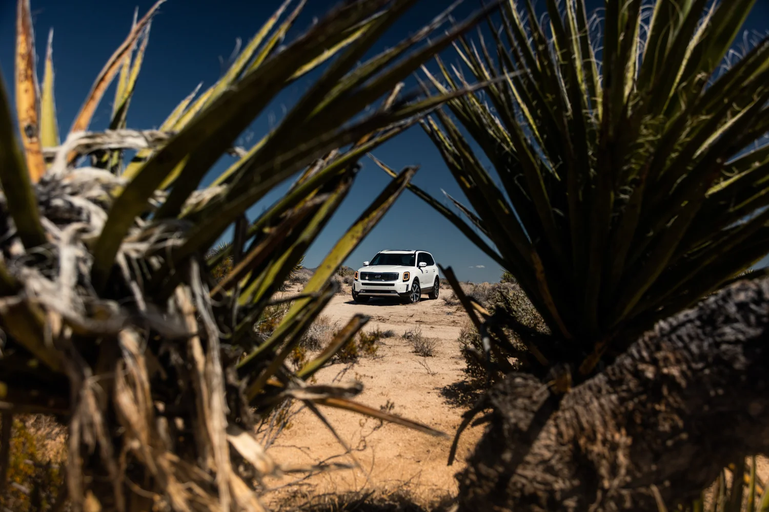 awstudio_tim_sutton_kia_telluride_24.jpg