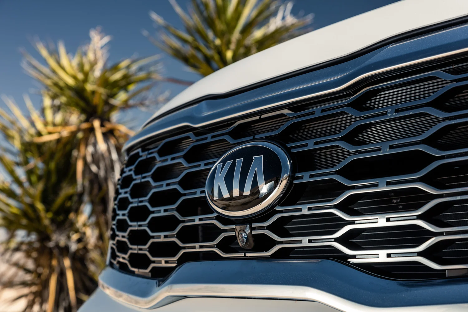awstudio_tim_sutton_kia_telluride_28.jpg