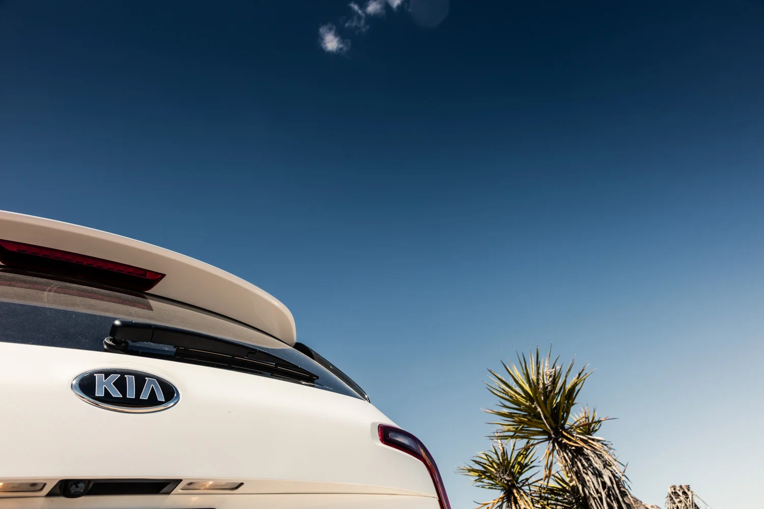 awstudio_tim_sutton_kia_telluride_32.jpg