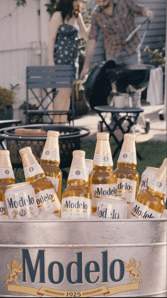 Modelo-Super-Zoom.gif