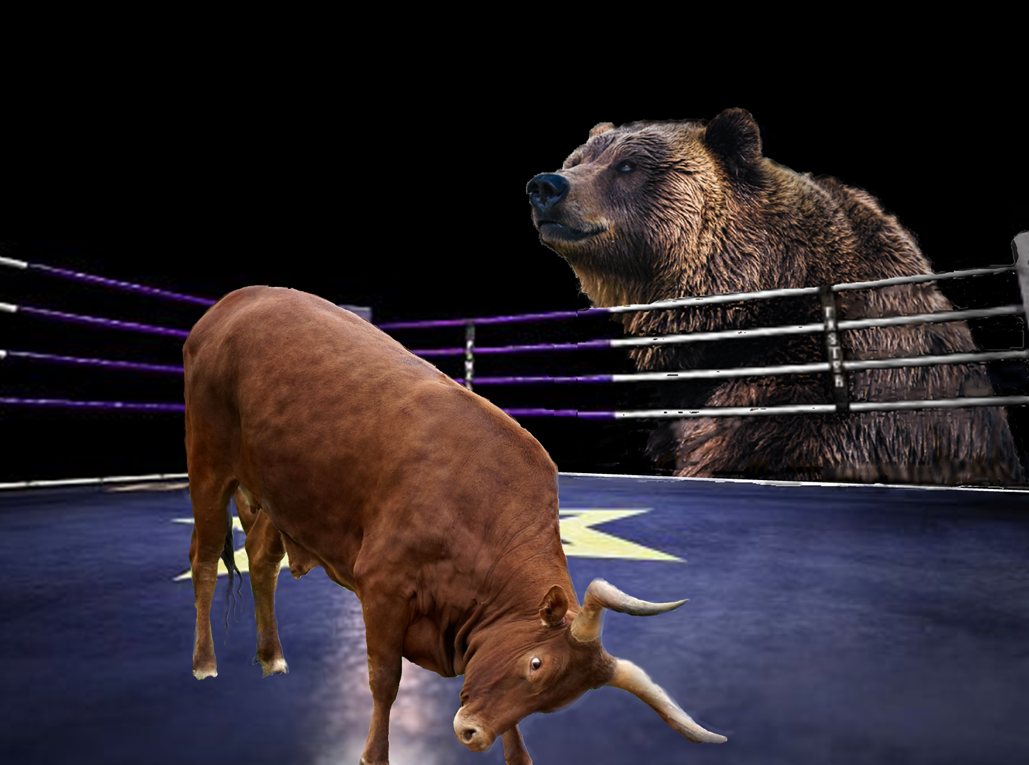 Bull Bear New.png