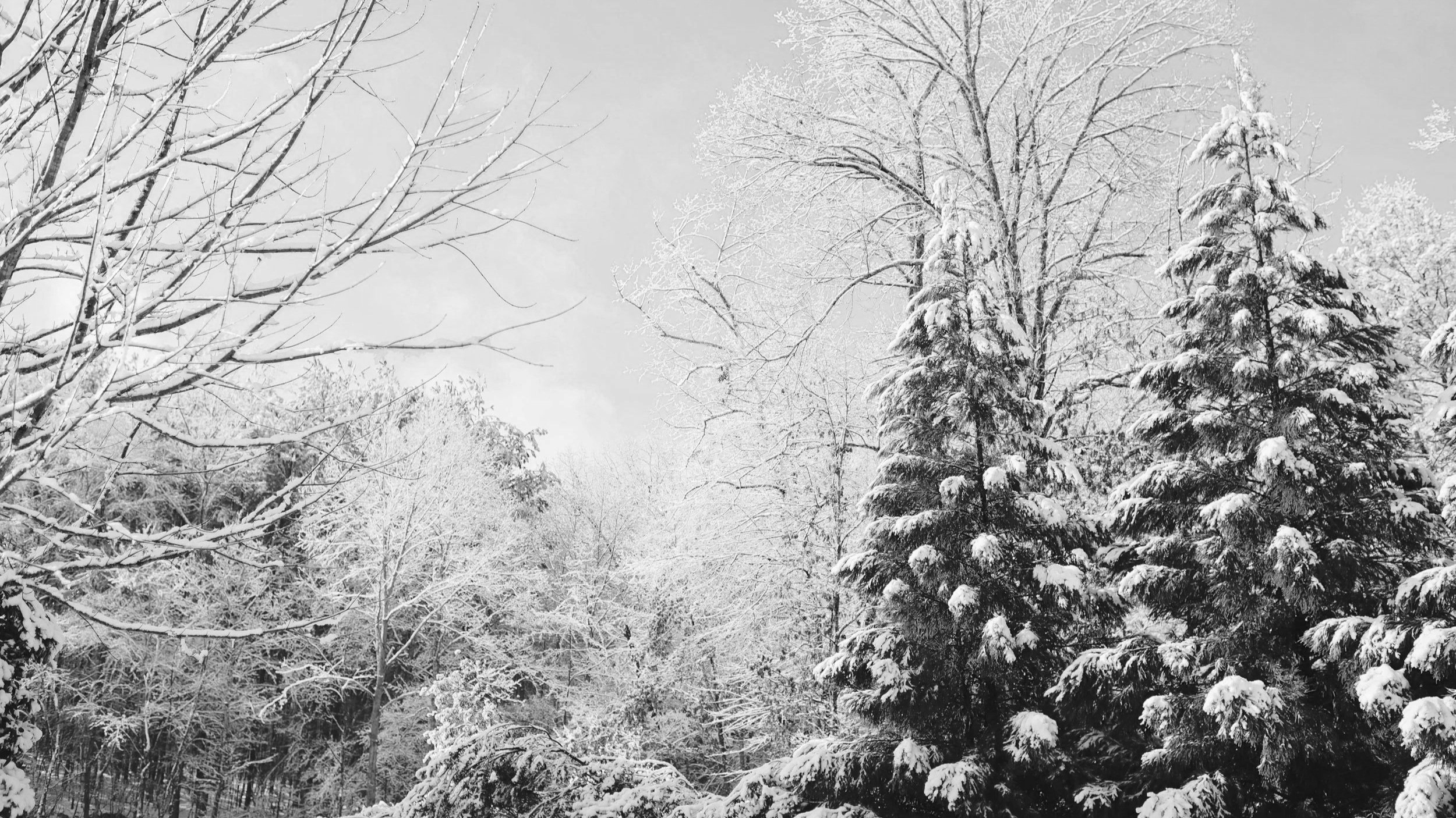 Revel's 2026 Guide to Holiday Marketing Success
